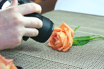 Image showing Photographer working – shooting the rose