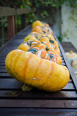 Image showing Pumpkins In A Row On Bench