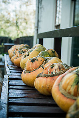 Image showing Pumpkins In A Row On Bench