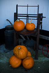 Image showing Pumpkins And Farm Tools