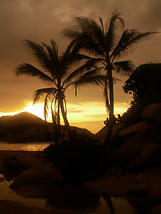 Image showing People Watching Beach Sunset