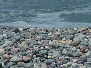 Image showing Pebble Beach Macro