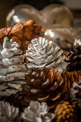 Image showing Painted Pine Cones