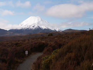 Image showing Mountain Behind Heath