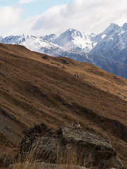 Image showing Mountain And Bird