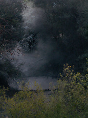 Image showing Misty Grey Geyser