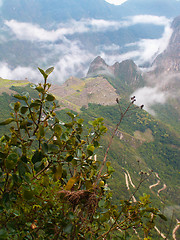 Image showing Machu Pichu Shrouded In Mist