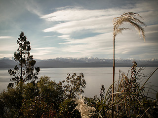 Image showing Lake And Mountain Through Foliage