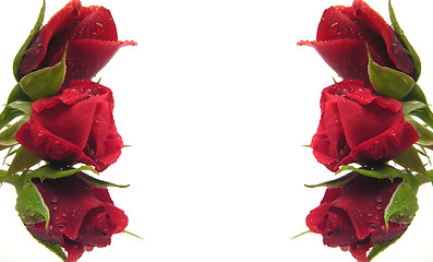 Image showing Red roses  on the left and right side build a frame as background