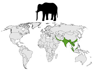 Image showing Asian elephant range