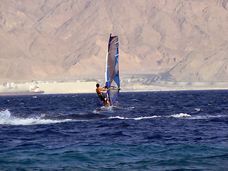 Image showing Windsurfer in Red Sea