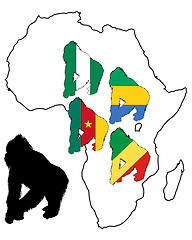 Image showing Africa Gorilla 
