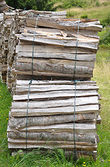 Image showing Wood pile