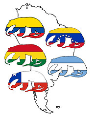 Image showing Anteater South America