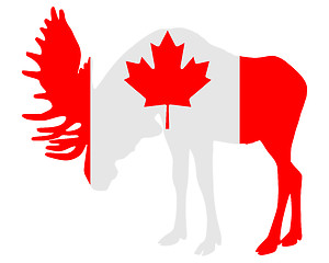 Image showing Mosse in flag of canada