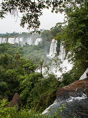 Image showing Iguazu Falls Through Foliage