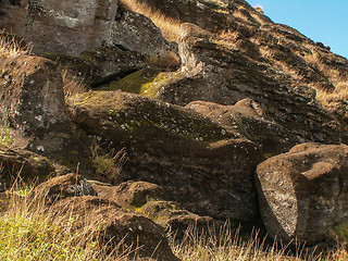 Image showing Half Carved Moai