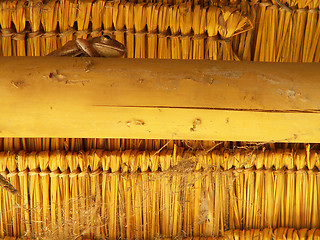 Image showing Frog In The Roof