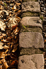 Image showing Four Stone Autumnal