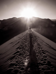 Image showing Desert Sunset At San Pedro