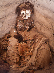 Image showing Decomposing Body In Open Grave