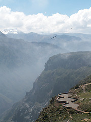 Image showing Condors Over Colca Canyon