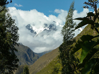 Image showing Cloudy Mountain Framed By Plants