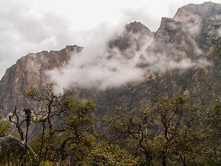 Image showing Cloud And Forest Mountain