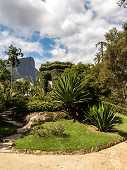 Image showing Christ Redeemer Behind Botanical Gardens