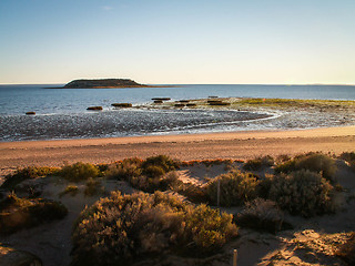 Image showing Beach With Grasses