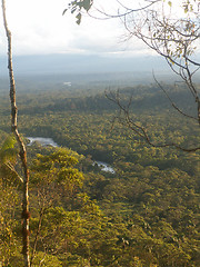 Image showing Amazon Rainforest View