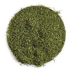 Image showing dried dill