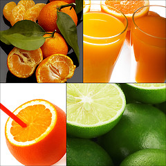 Image showing citrus fruits collage