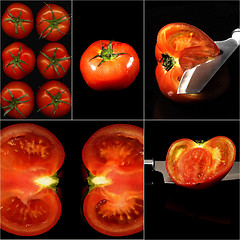 Image showing tomatoes collage