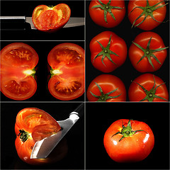 Image showing tomatoes collage