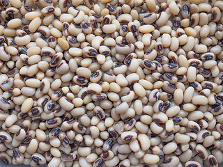 Image showing Beans salad