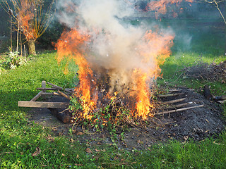 Image showing Burning fire