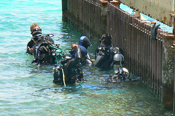 Image showing Group of scuba divers