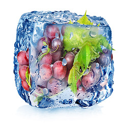 Image showing Grape in ice cube