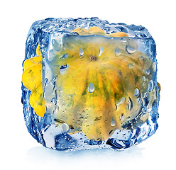 Image showing Gourd in ice cube