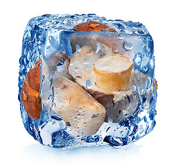 Image showing Mushrooms in ice cube