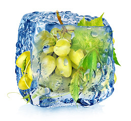 Image showing Green grape in ice cube