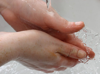 Image showing Artist washing her hands