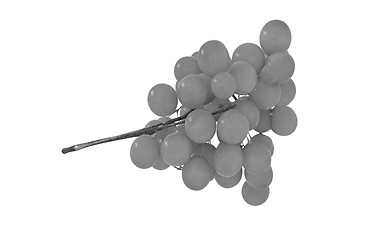 Image showing Grapes