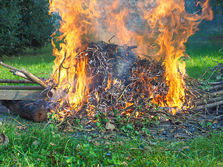 Image showing Burning fire