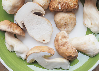 Image showing Porcini Mushroom