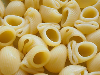 Image showing Lumache pasta food