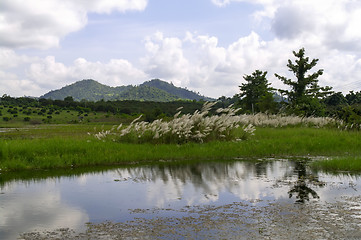 Image showing Rural Landscape