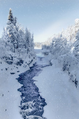 Image showing Winter wonderland