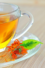 Image showing marigold herbal tea